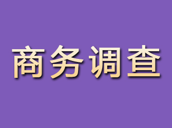 仓山商务调查